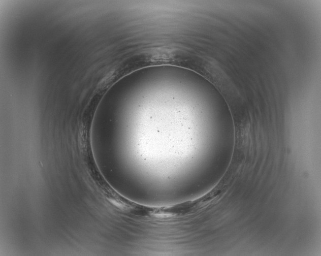 X0000054360228200508051537