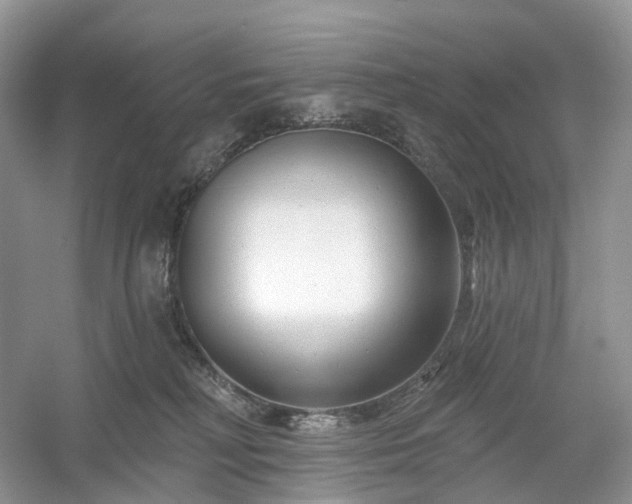 X0000054360230200508051537