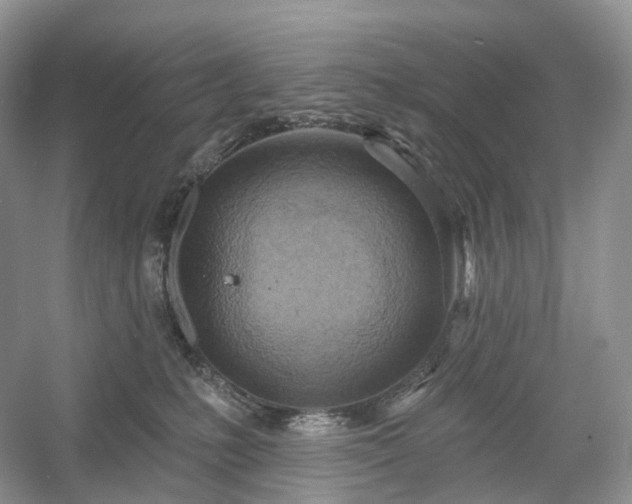 X0000054360231200508051537