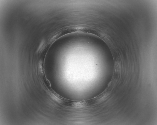 X0000054360238200508051537