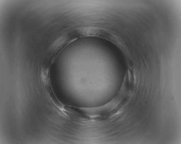 X0000054360239200508051537
