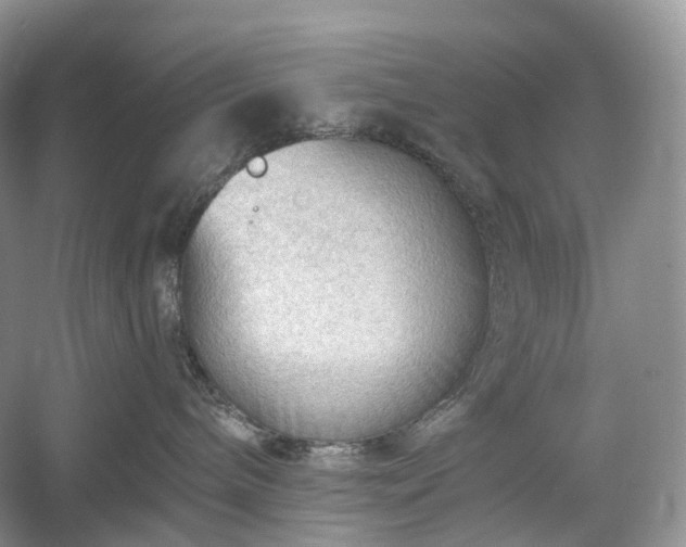 X0000054360240200508051537