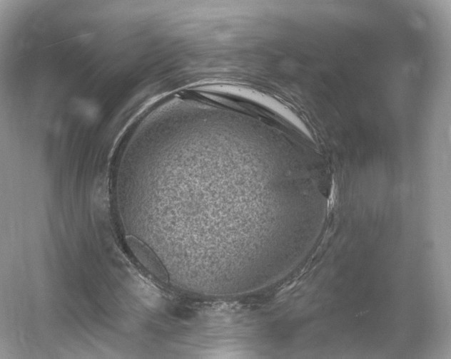 X0000054360243200508051536