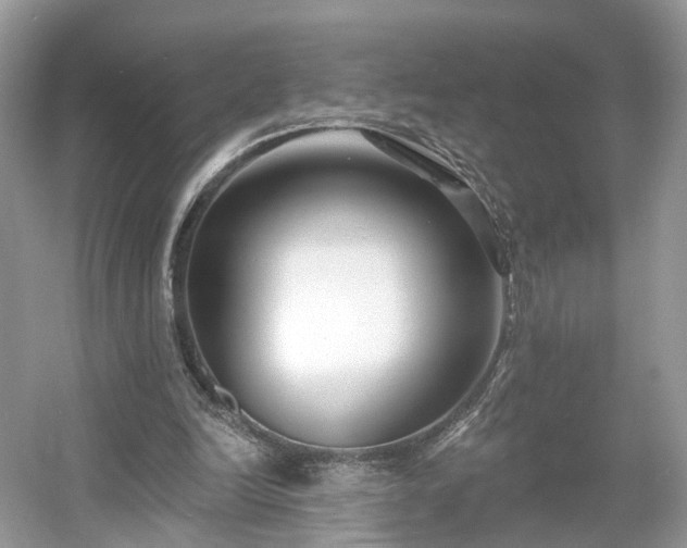 X0000054360246200508051536