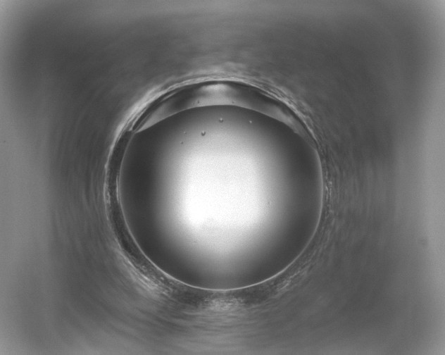 X0000054360248200508051536