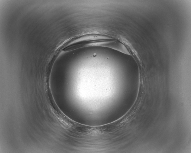 X0000054360249200508051536