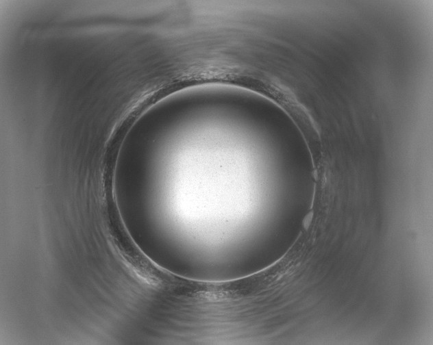 X0000054360250200508051536