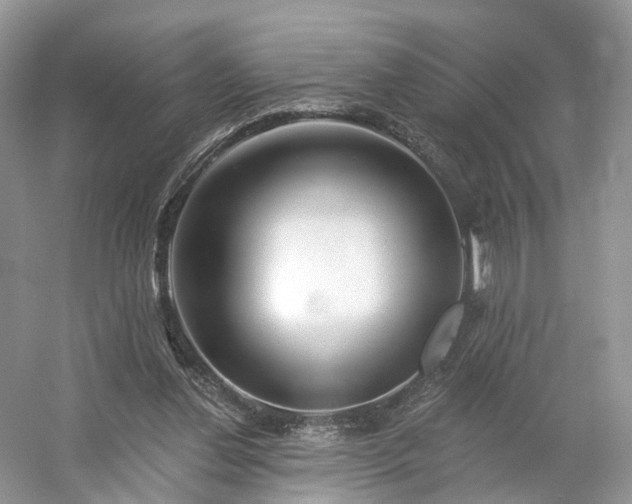 X0000054360252200508051536