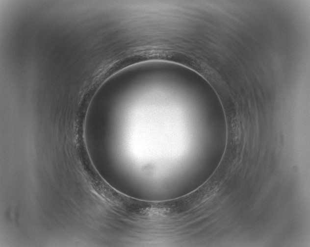 X0000054360255200508051536