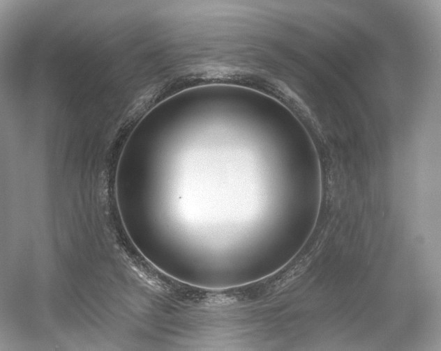 X0000054360257200508051536