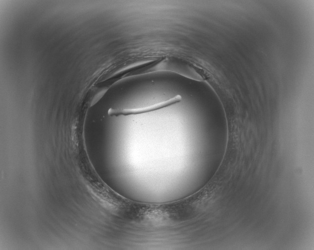X0000054360258200508051536