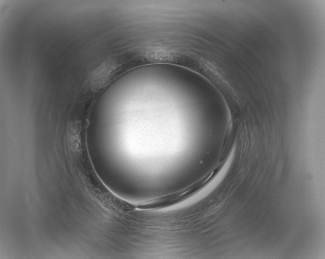 X0000054360259200508051536