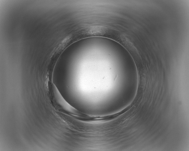 X0000054360260200508051537