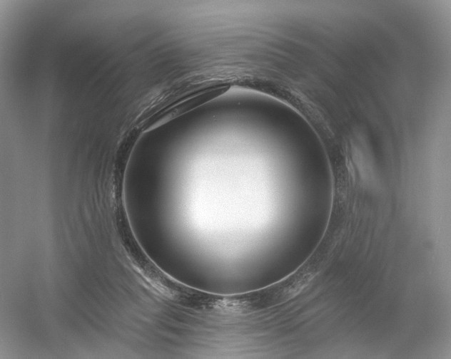 X0000054360261200508051537