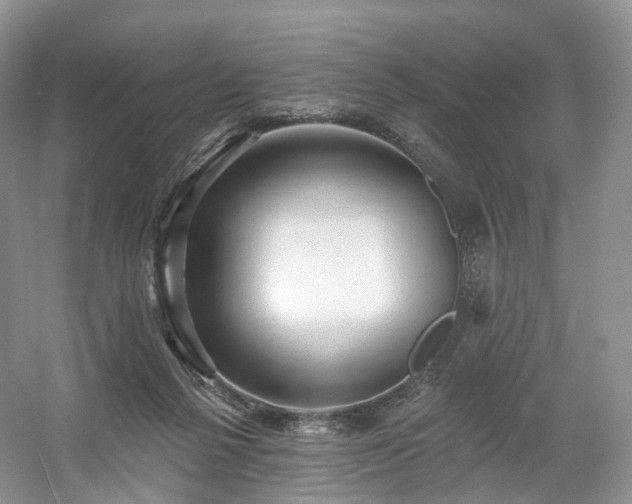 X0000054360264200508051537