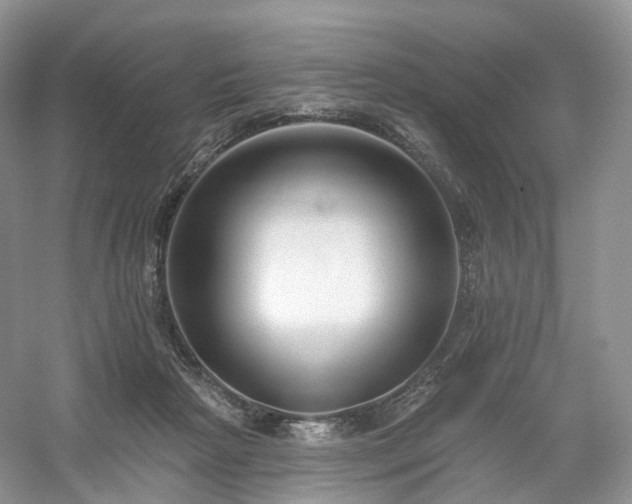 X0000054360265200508051537
