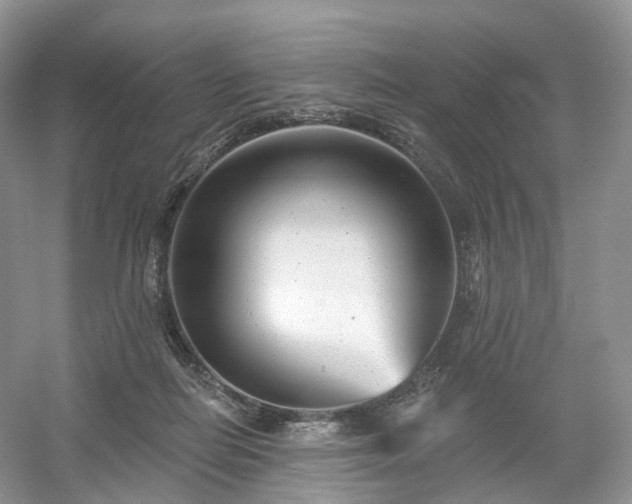 X0000054360266200508051537