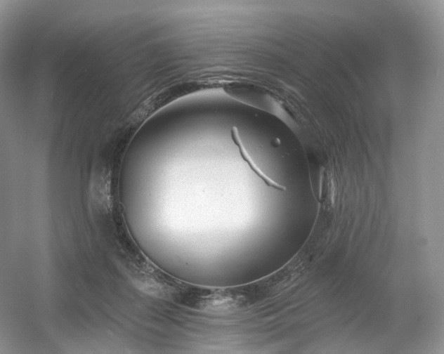 X0000054360267200508051537