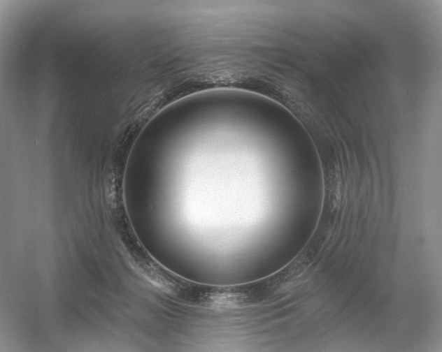 X0000054360268200508051537
