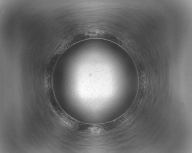 X0000054360272200508051537