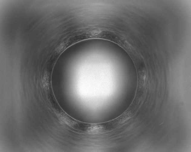 X0000054360274200508051537