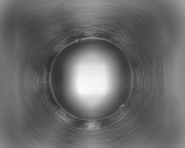 X0000054360275200508051537