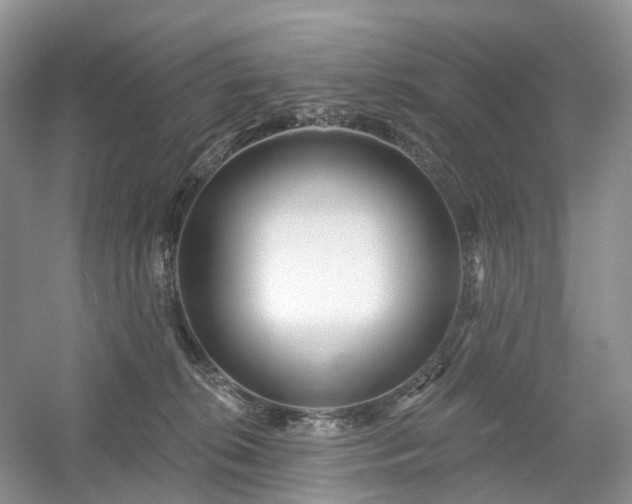 X0000054360276200508051537