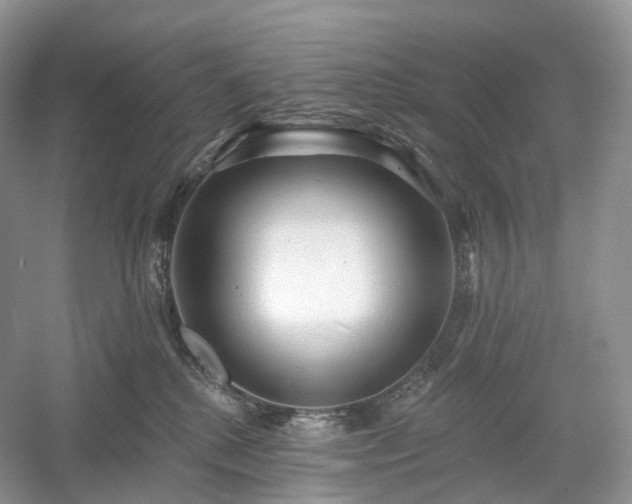 X0000054360280200508051537