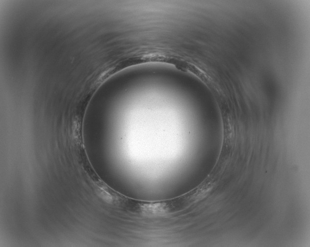 X0000054360281200508051537