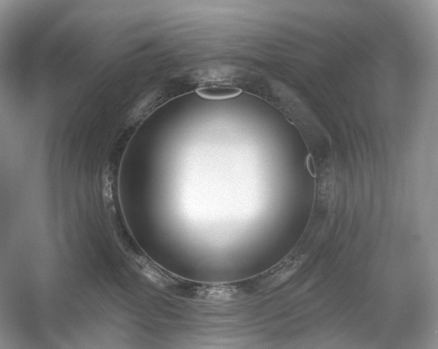 X0000054360282200508051537
