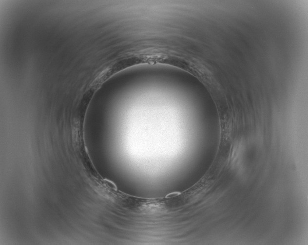 X0000054360283200508051537