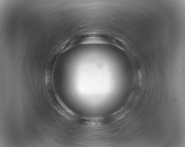 X0000054360284200508051537