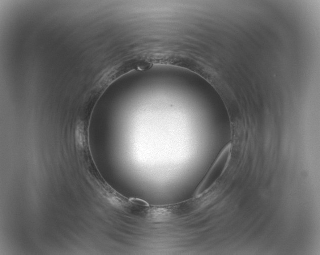 X0000054360287200508051537