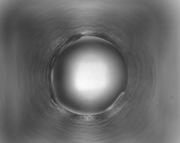 X0000054360288200508051537