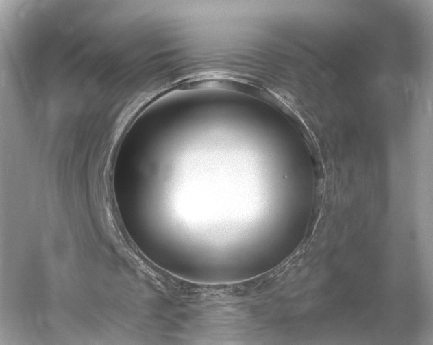 X0000054360289200508051536