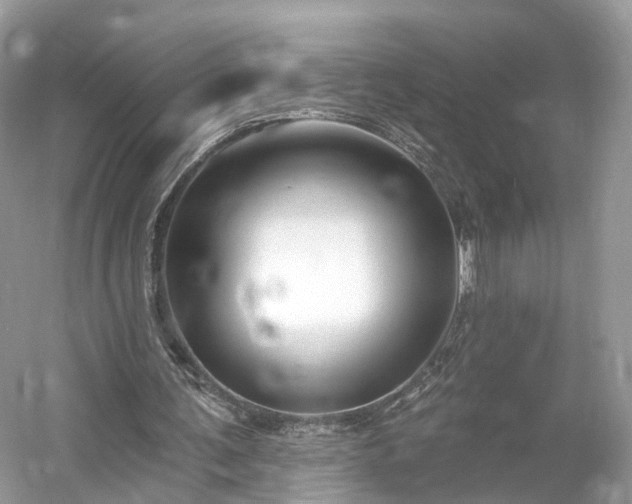 X0000054360291200508051536