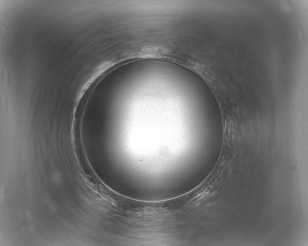 X0000054360292200508051536