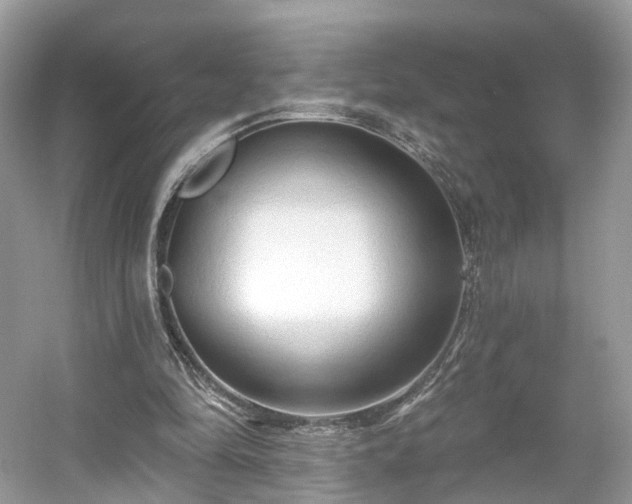 X0000054360294200508051536