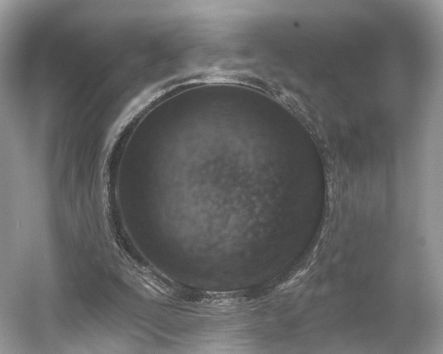 X0000054360295200508051536
