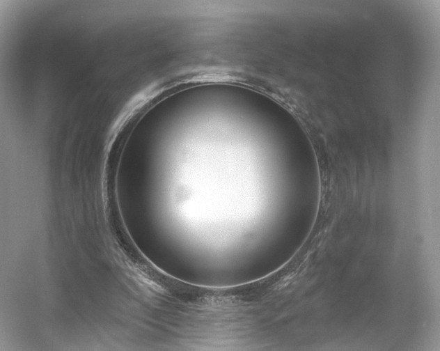 X0000054360296200508051536