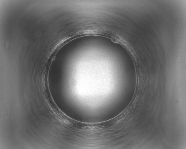 X0000054360297200508051536