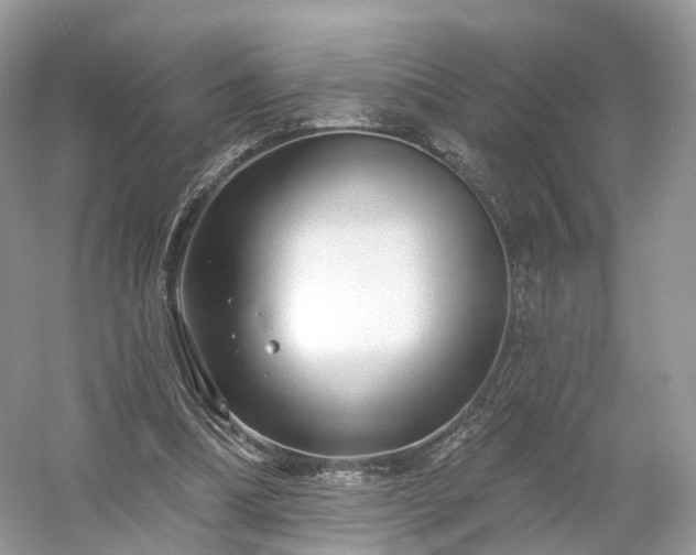 X0000054360298200508051536