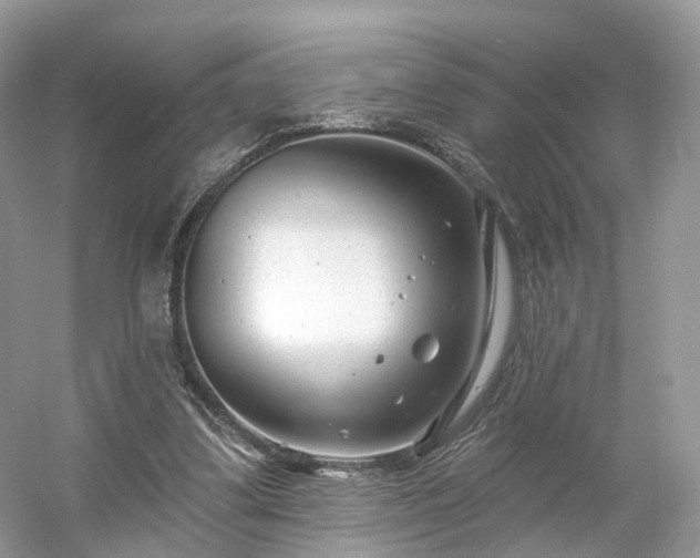 X0000054360299200508051536