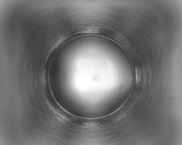 X0000054360300200508051536