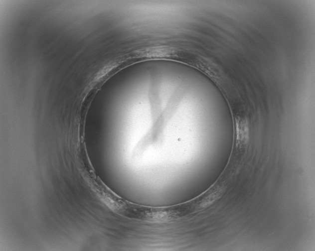 X0000054360301200508051536