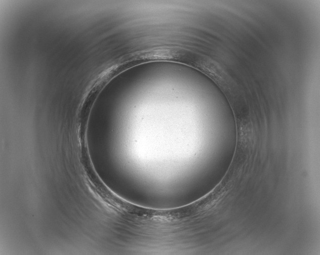 X0000054360302200508051536