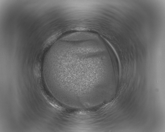 X0000054360303200508051536