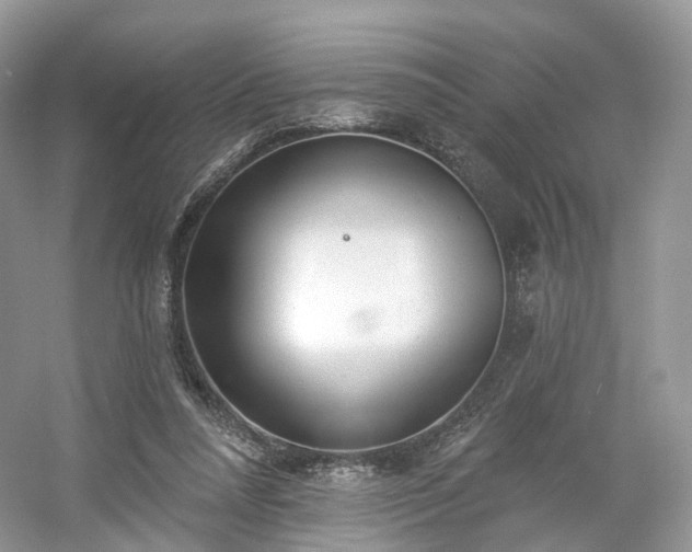 X0000054360304200508051536