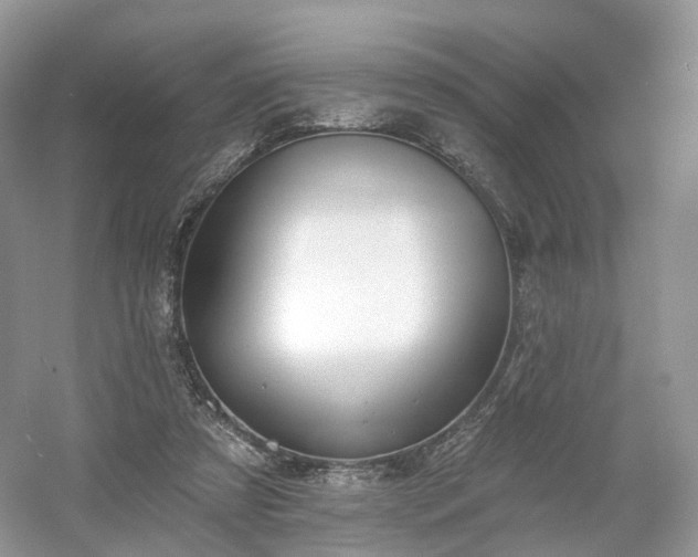 X0000054360305200508051536
