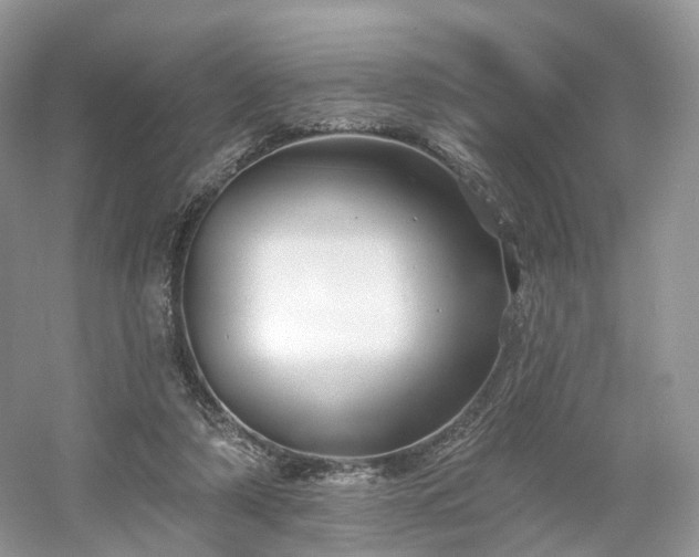X0000054360306200508051536